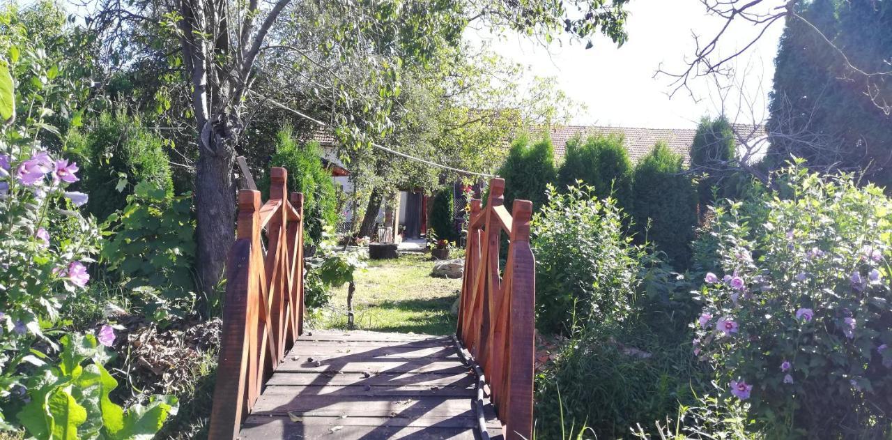 Bed and Breakfast Balla House Tarcaia Екстер'єр фото