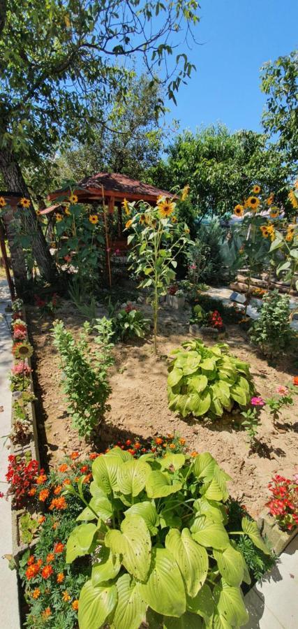 Bed and Breakfast Balla House Tarcaia Екстер'єр фото