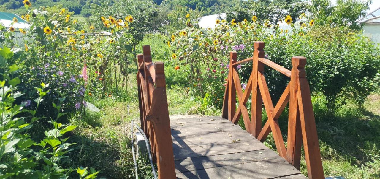 Bed and Breakfast Balla House Tarcaia Екстер'єр фото